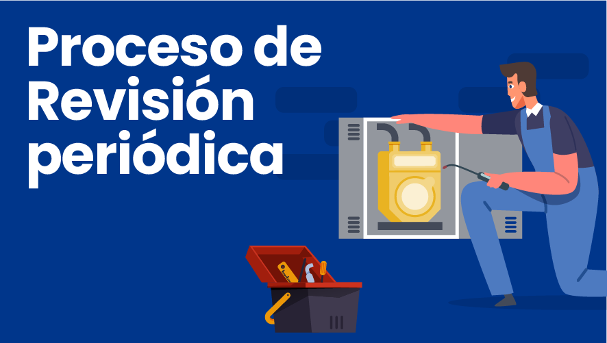 Revisión Periodica